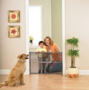 81LIpQHdn1L._SL1500_